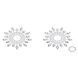 Пестіс з кристалів Petits Joujoux Gloria set of 2 - Silver, прикраса на груди SO3134 фото 1