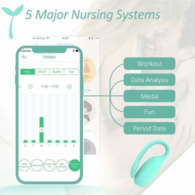 Смарт-тренажер Кегеля Magic Motion Kegel Rejuve, бюджетный вариант, для тренировок и удовольствия SO3114 фото