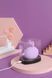 Вакуумный клиторальный стимулятор с вибрацией KisToy Miss KK Purple SO3760 фото 7