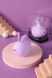 Вакуумный клиторальный стимулятор с вибрацией KisToy Miss KK Purple SO3760 фото 6