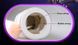 Мастурбатор Leten EVA vagina cup SO1714 фото 9